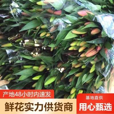 香水百合鲜花批发云南鲜花直批婚庆布置花店摆摊用花社区团购货源2扎