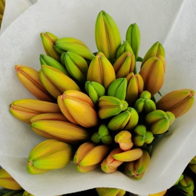 香水百合鲜花批发云南鲜花直批婚庆布置花店摆摊用花社区团购货源2扎图4