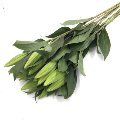 香水百合鲜花批发云南鲜花直批婚庆布置花店摆摊用花社区团购货源2扎图5