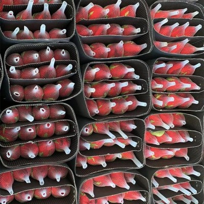 玫瑰鲜花批发云南鲜花基地直批婚庆布置花店摆摊用花社区团购货源2扎图3