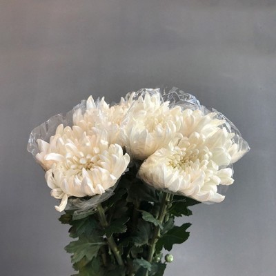【清明菊花】清明节扫墓祭祖 昆明基地直批 黄色白色菊花3扎图4
