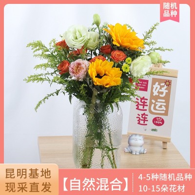 【自然混搭】每周一花花束 精选云南优质基地现采鲜花速递2束