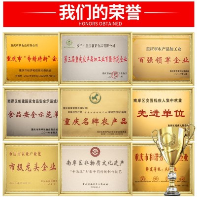 牛浪汉风干牛肉干9层干手撕五香麻辣零食小吃250g贴牌加工 定制厂1罐图3