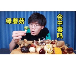 云南“毒蘑菇”真有那么美味吗？小伙试吃之后感觉有点头晕...