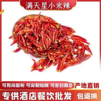 满天星干辣椒厂家批发海椒500g贵州满天星火锅原材料四川 小米辣 1袋