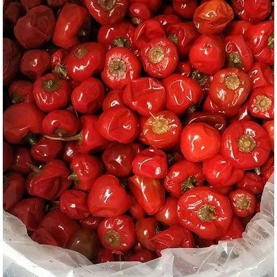 散装样品泡红圆椒 圆泡椒 2斤装川菜馆用重庆厂家 2件图4