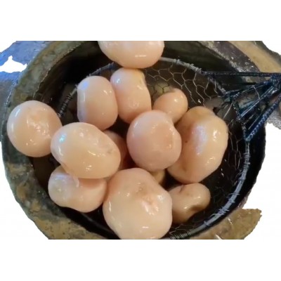 三农食品厂价批发泡菜老坛泡萝卜餐馆酒店40kg/件 1件图5