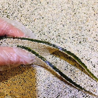 板子牛皮糖 小白芝麻 超薄均匀 净重36.5斤每箱 抹茶味 源头货源 2箱图4