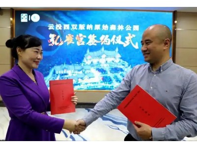 投资近4亿元！云南这一老牌4A级旅游景区再升级