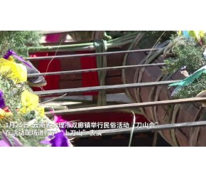 云南大理举行民俗活动“刀山会”：上刀山 过难关