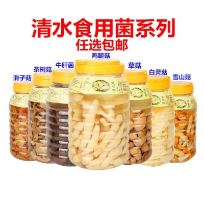 清水食用菌雪山菇草菇茶树菇牛肝菌滑子菇金针菇鸡腿菇茶树菇邮 1件