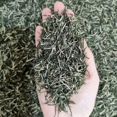 2024年新茶 四川雅安毛尖茶叶 雨前茶叶 散装 绿茶批发 毛尖茶叶1斤