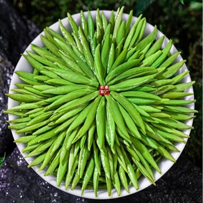 竹青叶雀舌新茶2024特级绿茶四川峨眉山明前单芽散装批发 龙芽翠芽1件图2