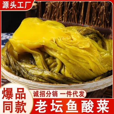 四川贵州正宗鱼酸菜老坛酸菜下饭酸菜鱼400g大袋装批发商用家用20袋