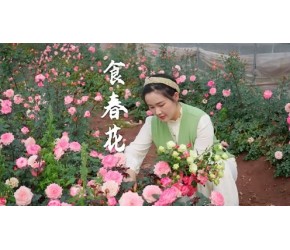春吃花，是一件浪漫而美味的事情！田埂上的野花，山间枝头上的花苞，都是春日里限定的美食～