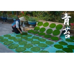 西双版纳青苔——澜沧江里的独特“海苔”