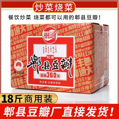 丽通牌郫县豆瓣豆瓣酱红方印炒烧专用餐饮装9kg大包装餐饮专用2箱