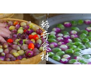 云南这些稀奇小众食材，你知道几种？