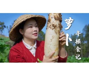 寻根食记（五）——冬吃萝卜夏吃姜，不用医生开药方