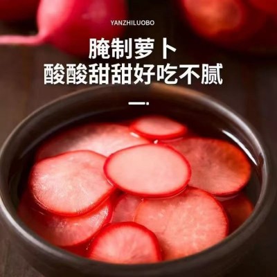 泡菜专用红醋500ml瓶装家用大红浙醋泡萝卜商用蘸虾蟹蘸醋食用醋4瓶图4