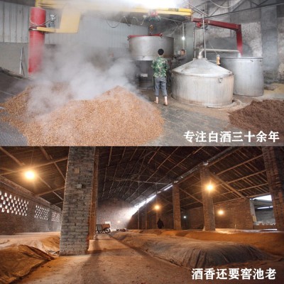 四川原浆白酒五粮浓香型52度粮食酒散装白酒老酒基酒桶装 散酒批发1个