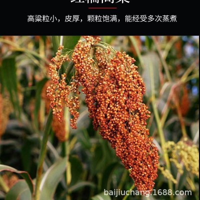 泸州国牌酒业国牌老窖零售批发泸州浓香型42度高中低白酒代理6瓶图4