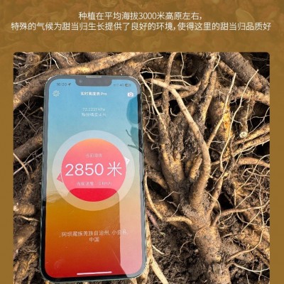 软糯香甜海拔3000米的高原甜当归体验装天然1袋