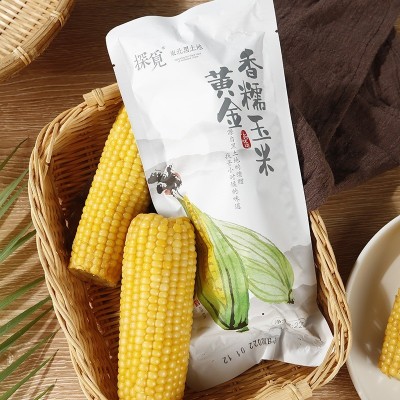 探觅黄金香糯玉米10根*220g/箱 东北即食甜糯苞米真空包装黄玉米1箱图4