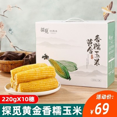 探觅黄金香糯玉米10根*220g/箱 东北即食甜糯苞米真空包装黄玉米1箱