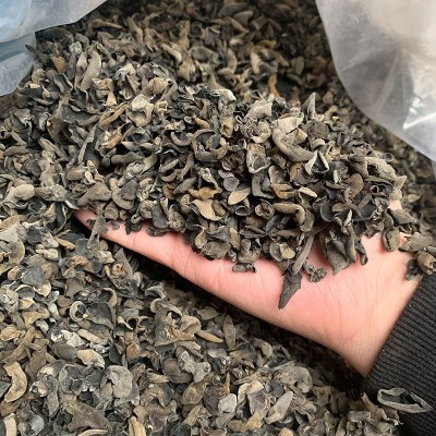 东北黑木耳干货木耳芽跑江湖地摊散装肉厚无根秋木耳碗耳干货批发10斤图3