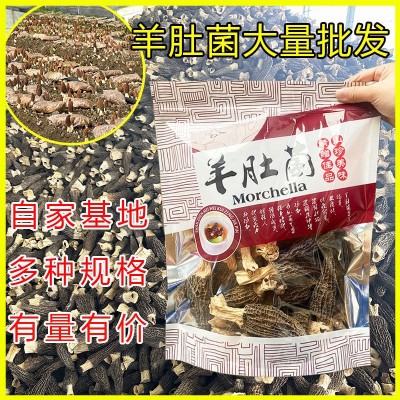 云南新货羊肚菌头茬新鲜干货农家特产炖煲汤锅食材蘑菇菌菇类批发1件