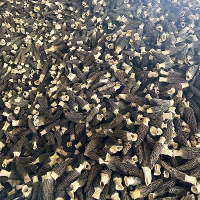 云南新货羊肚菌头茬新鲜干货农家特产炖煲汤锅食材蘑菇菌菇类批发1件图4