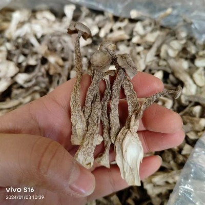 鹿茸菇干货10斤一箱鹿茸菌散装批发云南特产食用菌菇食材批发蘑菇10盒图5