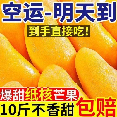 海南金煌芒新鲜水仙芒果10斤装整箱薄皮当季孕妇水果果园直发包邮1件图2