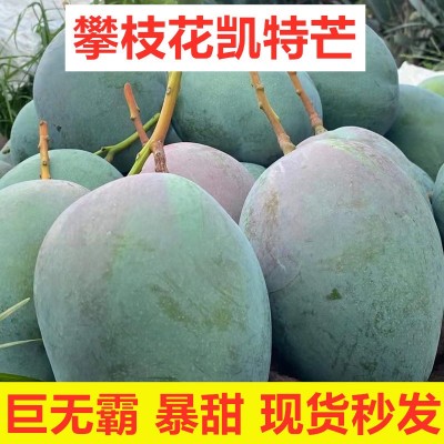 四川攀枝花凯特芒果新鲜水果新鲜整箱当季包邮应季凯特芒特大凯特1件