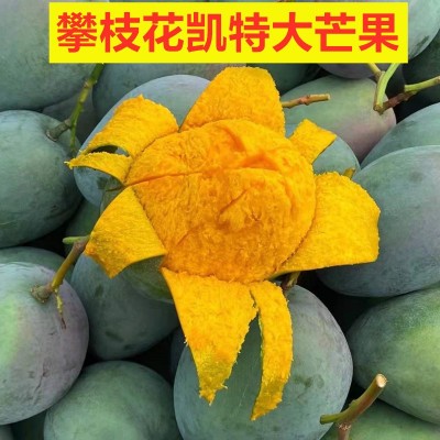 四川攀枝花凯特芒果新鲜水果新鲜整箱当季包邮应季凯特芒特大凯特1件图2