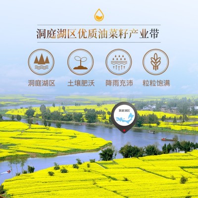 道道全特香菜籽油 非转基因物理压榨 滴滴浓香口味纯正食用油家用1件
