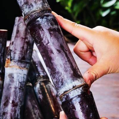 广西黑皮甘蔗10斤新鲜水果脆甜多汁应当季孕妇甜杆果蔗整箱特产1件图3