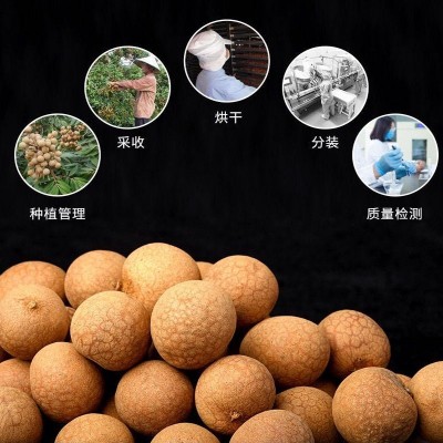 代发批发蜜饯果干 桂圆干肉龙眼干500g 熬粥办公零食桂圆干2袋图3