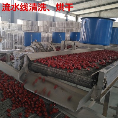 【包邮】灰枣 批发新疆红枣 若羌灰枣 20斤每箱兵团红枣1箱