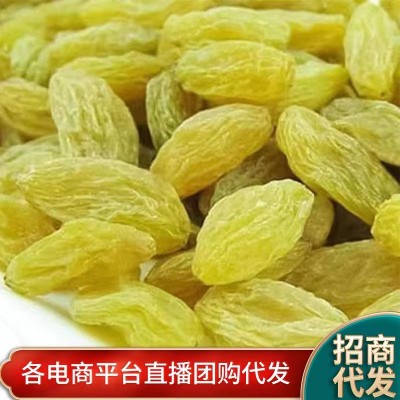 新疆特产黄葡萄干大量批发代发250g 吐鲁番树上黄煮粥果干葡萄干4袋