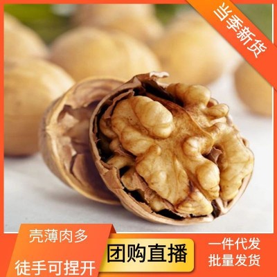 整箱新货新疆纸皮核桃阿克苏生核桃185核桃干果新疆特产薄皮核桃2包