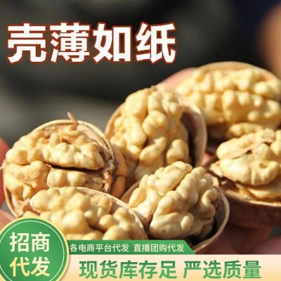 【代发】185纸皮核桃 500g新疆薄皮核桃休闲干果零食手剥原味大核2袋图2