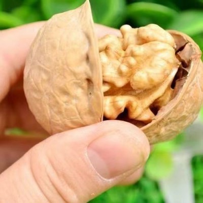 【代发】185纸皮核桃 500g新疆薄皮核桃休闲干果零食手剥原味大核2袋