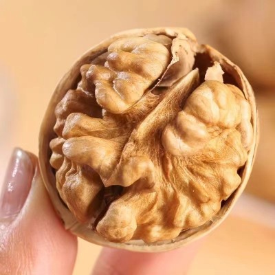 【代发】185纸皮核桃 500g新疆薄皮核桃休闲干果零食手剥原味大核2袋图4