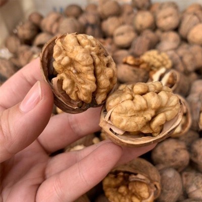 新疆185纸皮核桃500g坚果炒货休闲零食剥皮阿克苏纸皮核桃批发2包图2