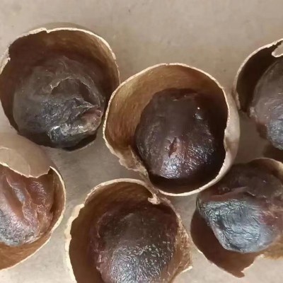 厂家批发桂圆干 大颗粒核小肉厚福建特产龙眼干零食 整箱散装桂圆2袋图3