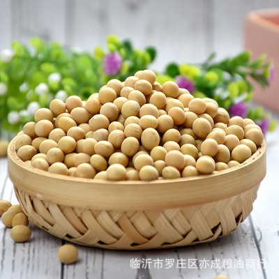 黄豆批发东北中粒黄豆50斤豆腐豆豆制品食品原料1件