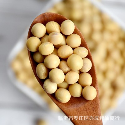 黄豆批发东北中粒黄豆50斤豆腐豆豆制品食品原料1件图3