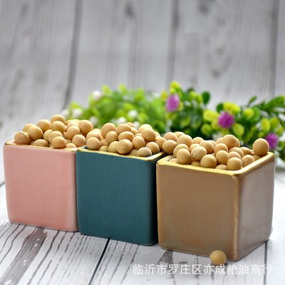 黄豆批发东北中粒黄豆50斤豆腐豆豆制品食品原料1件图4